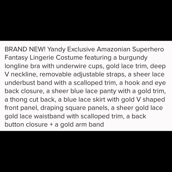 *SOLD*  Wonder Woman Cosplay Lingerie - Picture 5 of 7